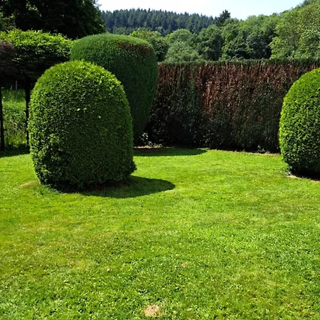 Apartment El Mirador - Naehe Nuerburgring - Eifel - Ahr - Rhein - Renoviert